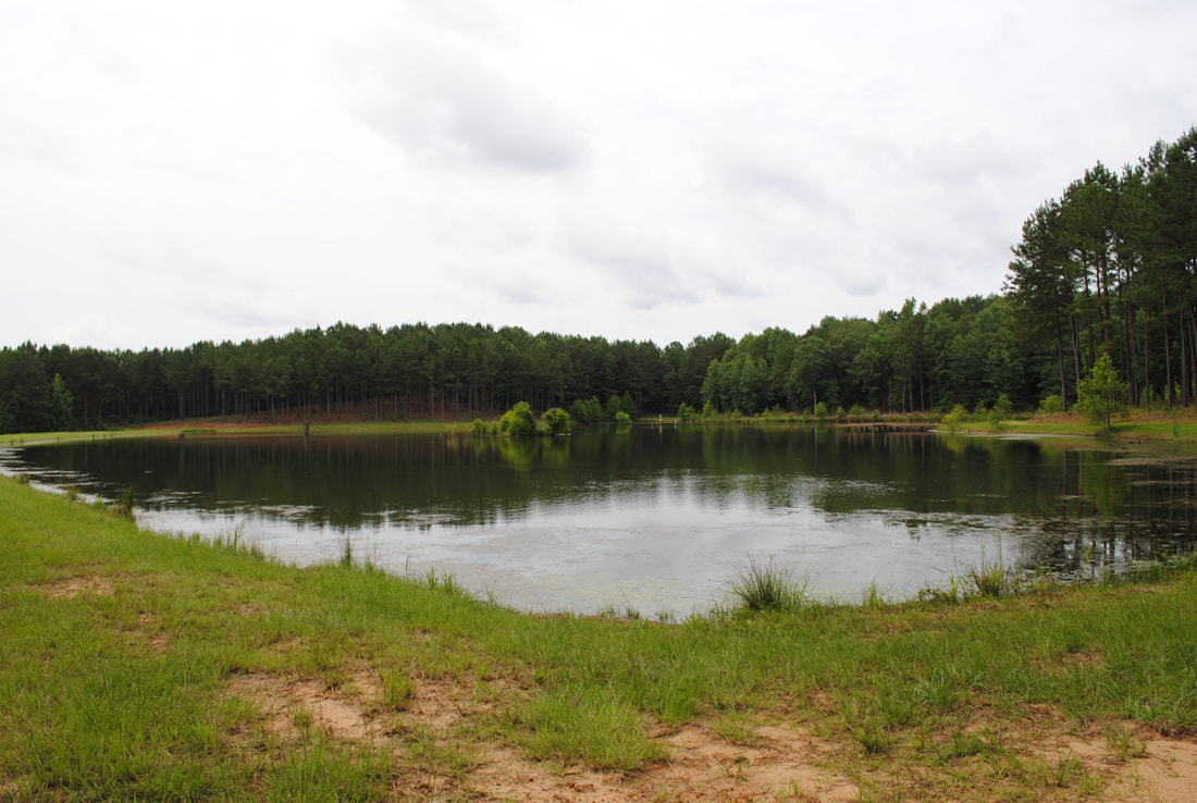 Pickens County, AL Land For Sale 837 Acres Tuskaloosa Forestry